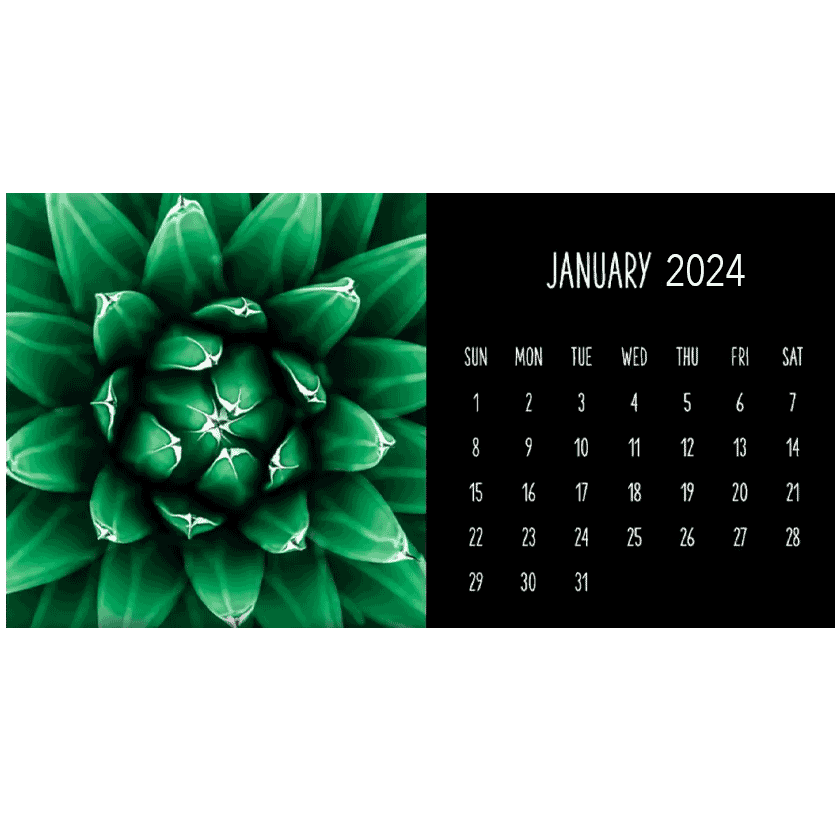 Succulents Calendar